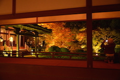随心院2015①